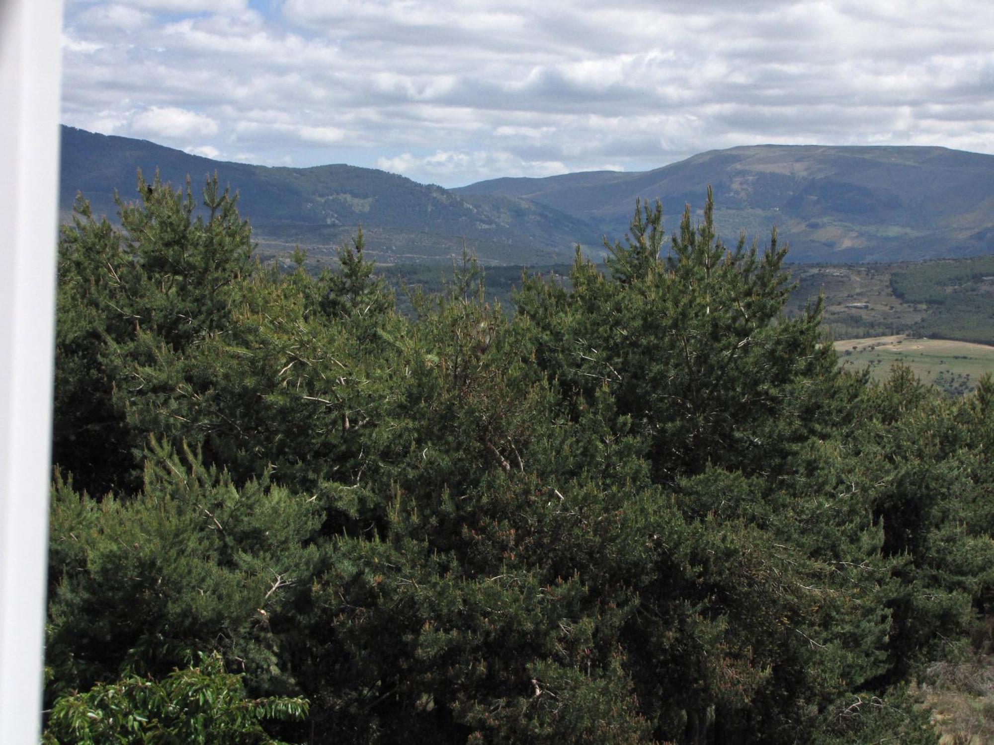 El Mirador De Tortoles Villa Екстериор снимка